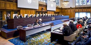The International Court of Justice