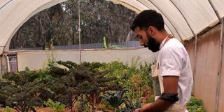 Chef Khaled