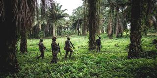 Monusco soldiers.