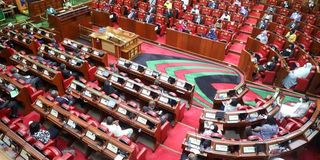 Tanzania’s Parliament