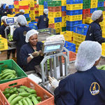  Twiga Foods Ltd