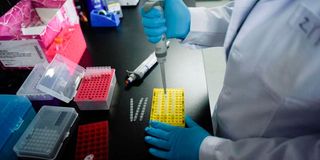 A researcher conducts tests.