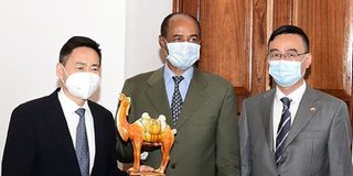 Chinese Special Envoy for the Horn of Africa Xue Bing with Eritrean President Isaias Afwerki. 