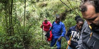 Gorilla trackers