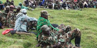 M23 rebels