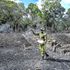 A ranger disperses seeds at an indigenous forest destroyed by charcoal makers.