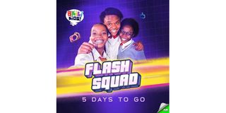 A poster of the movie "Flash Squad".