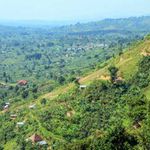Rwenzori mountains.