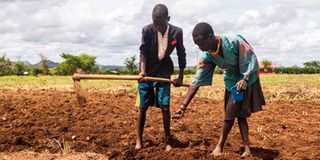 karamoja