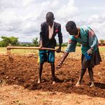 karamoja