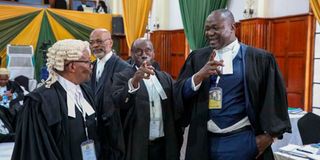 Prof Githu Muigai 