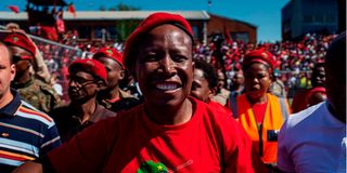 EFF leader Julius Malema.