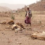 Drought