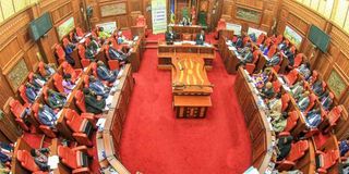 The East African Legislative Assembly.