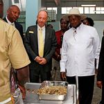Uganda gold