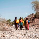 Internally displaced Ethiopian women 