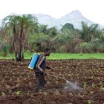 Banned pesticides