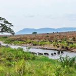 Sand River in Tanzania. 