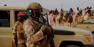 Niger special forces on guard