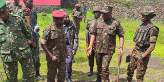 A delegation that visited Kibumba in eastern DRC