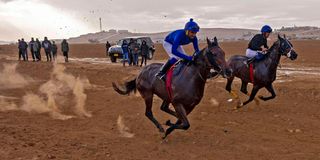  Bedouin horse-racing 