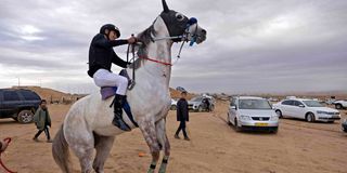 A jockey rears his horse