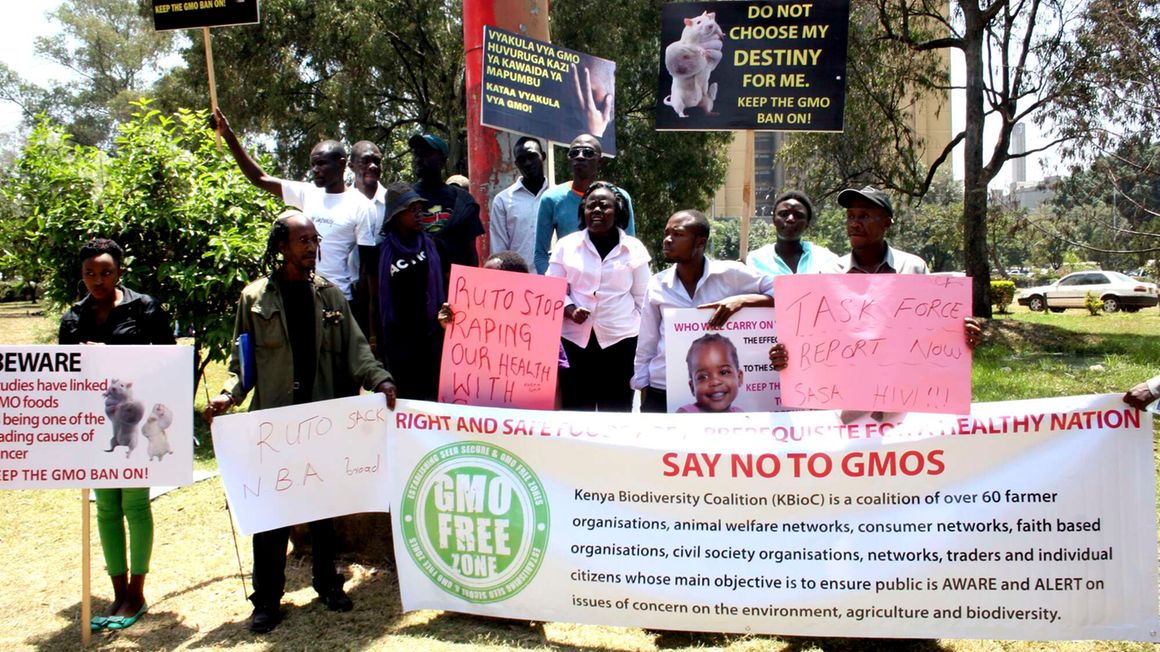 Protests against GMO foods in Kenya.