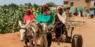 Children ride a donkey cart Darfur