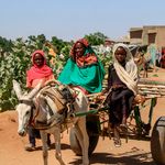 Children ride a donkey cart Darfur