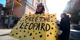 Ukrainian activists rally outside the German embassy 