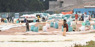 Farmers drying maize in Kenya’s Eldoret town.