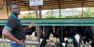 Tonny Kidega Gulu dairy farmer
