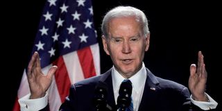 US President Joe Biden