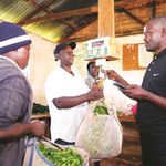 Kenya tea farmers