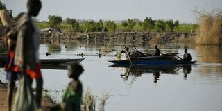 Internally displaced women transport firewood 