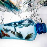 Plastic pieces in frozen water.