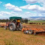 A farmer ploughs a wheat field in Tunisia 