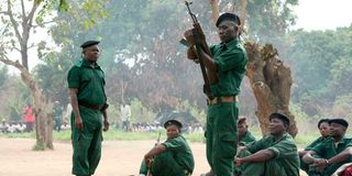 Mozambique regular troops