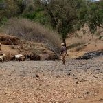 A dry river