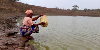 A woman fetches water from a water pan in Kenya.