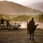 Turkana County arid land