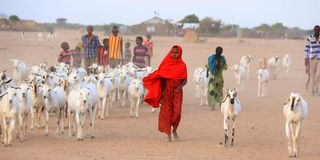 Somali children at IFO 2 refugee camp in Daadab, Kenya