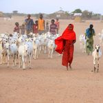 Somali children at IFO 2 refugee camp in Daadab, Kenya