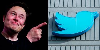 Twitter CEO Elon Musk