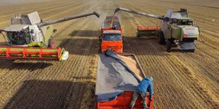 Grain exports from russia