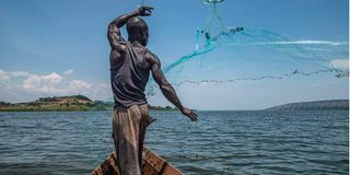 jinja