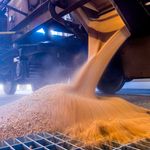ukgrain