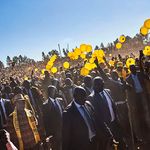 zimb poll