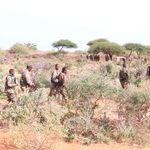 Somalian Army soldiers on patrol during an operation