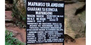 amboni